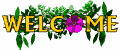 banner.gif (33345 bytes)